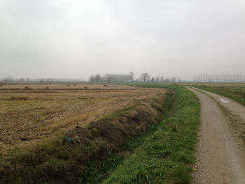 In cammino verso Robbio (28108 bytes)